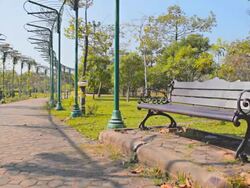 Dolly:Bench on lawn and sidewalk in the park. Stock Footage