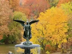 MS PAN Shot of fountain and autumn color trees from Bethesda Terrace at Lake / New York, United states Stock Footage