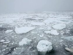 Some dark water full of ice with snow falling, viewed from a moving boat Stock Footage