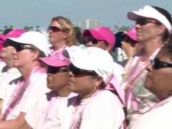 Seventh Annual Los Angeles Avon Walk for Breast Cancer Stock Footage