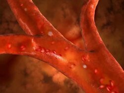 Blood cells pulsing down artery Stock Footage