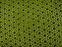 Huge Tennis Ball Stock Footage