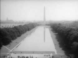 Crowds at the March on Washington Stock Footage
