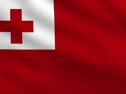 Tonga Flag Stock Footage