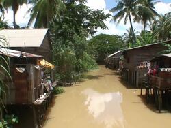 river scene Stock Footage