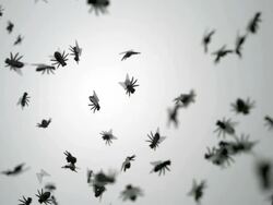 Plastic fly flying in the air, slow motion-close up Stock Footage