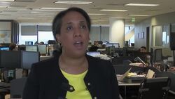 Analyst breaks down U.S. midterm election results News Clip