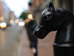 Horse Head Statuettes Along Downtown New Orleans Street Stock Footage