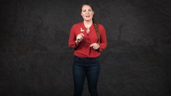 When Insects First Flew Instructional Video