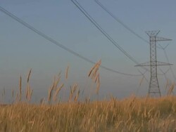 power lines and grass blowing. Stock Footage