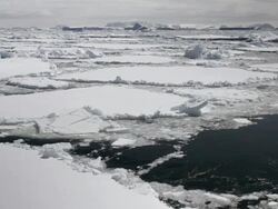 WS POV View of small icebergs floating on water / Weddell Sea, Antarctica Stock Footage