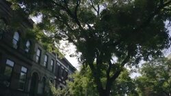 Neighborhood - Establishing Shot Stock Footage