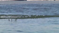 Scientists Use River Model to Fight Erosion News Clip