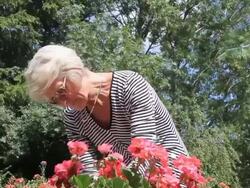 Pat Pruning Stock Footage