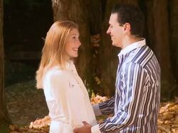 CRANE: Romance In Autumn Stock Footage