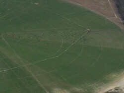 AERIAL WS View of Cattle farming / Florida, United States Stock Footage