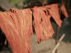 CU SLO MO Shot of Reddish material drying on bamboo pole / Muang Ngoi, Luang Prabang, Laos Stock Footage