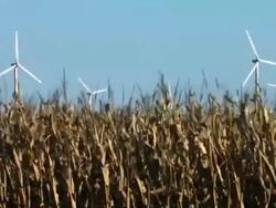 Scenes From Iowa Stock Footage