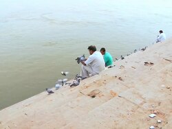MS Three men feeding birds at ghat near Ganges River / Varanasi, Uttar Pradesh, India Stock Footage