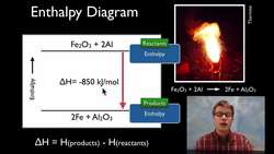 Enthalpy of Reaction Instructional Video