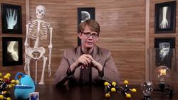 Introduction to Anatomy & Physiology: Crash Course A&P Instructional Video