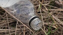 Ants running inside plastic bottle Stock Footage