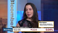 Drivers and Limits for a Stronger U.S. Dollar News Clip