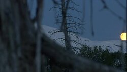 A full moon glows on a snowy horizon. Stock Footage