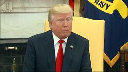 Trump welcomes Bahrain's Crown Prince to WH News Clip