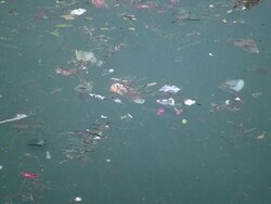 (HD1080i) Environment: Swirling Trash Floating in Water Stock Footage