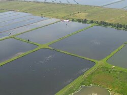 WS AERIAL ZI ZO View of paragliding over / Werribee, Victoria, Australia Stock Footage