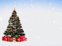 Christmas tree Stock Footage