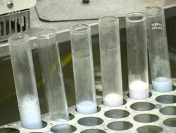 Test tubes in Rack Stock Footage