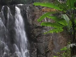 Waterfall in deep forest Stock Footage
