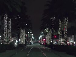 Lighted palms on Canal Street at Christmas in New Orleans  Stock Footage