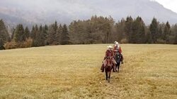 AERIAL Woman and two men riding horses in countryside Stock Footage