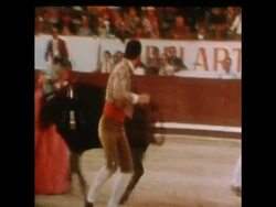 SYND 19 10 75 BULL FIGHTING SCENES FROM LISBON Instructional Video