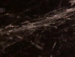 Extreme Close Up - Spider hanging upside down in web /  Stock Footage