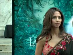 'Lady In The Water' New York Premiere Stock Footage