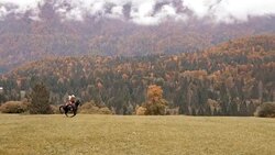 AERIAL Woman galloping on her horse across countryside Stock Footage