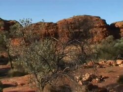 Landscape of Kings Canyon Stock Footage