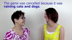 Vocabulary: Cat Idioms Instructional Video