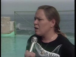 CUBA: HAVANA: TRAUMATISED DOLPHIN MENIQUE RETURNS HOME News Clip