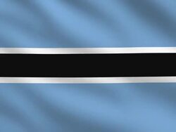 Botswana Flag Stock Footage