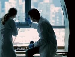 CU PAN Lab technicians discussing DNA gels at Cancer research  Healthcare medicine Industry DNA sequencing Laboratory / Vancouver, BC, Canada    Stock Footage