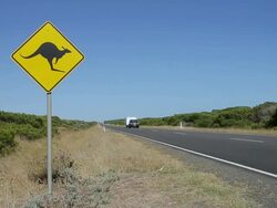 MS Caravan shoots past warning sign of kangaroos at highway / Melbourne, Victoria, Australia Stock Footage