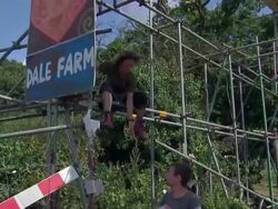 Travellers Protest at Dale Farm over Eviction News Clip