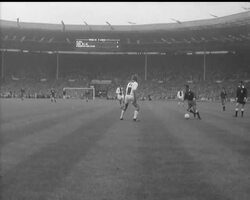 EUROPEAN CUP FINAL News Clip