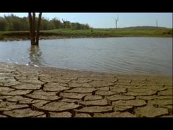 Tilt down from dry earth near water to big close up plant growing in crack; borescope shot, Nagarahole, India Stock Footage