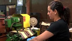 VOICED : Fears new rules could see US cigar factory go up in smoke News Clip